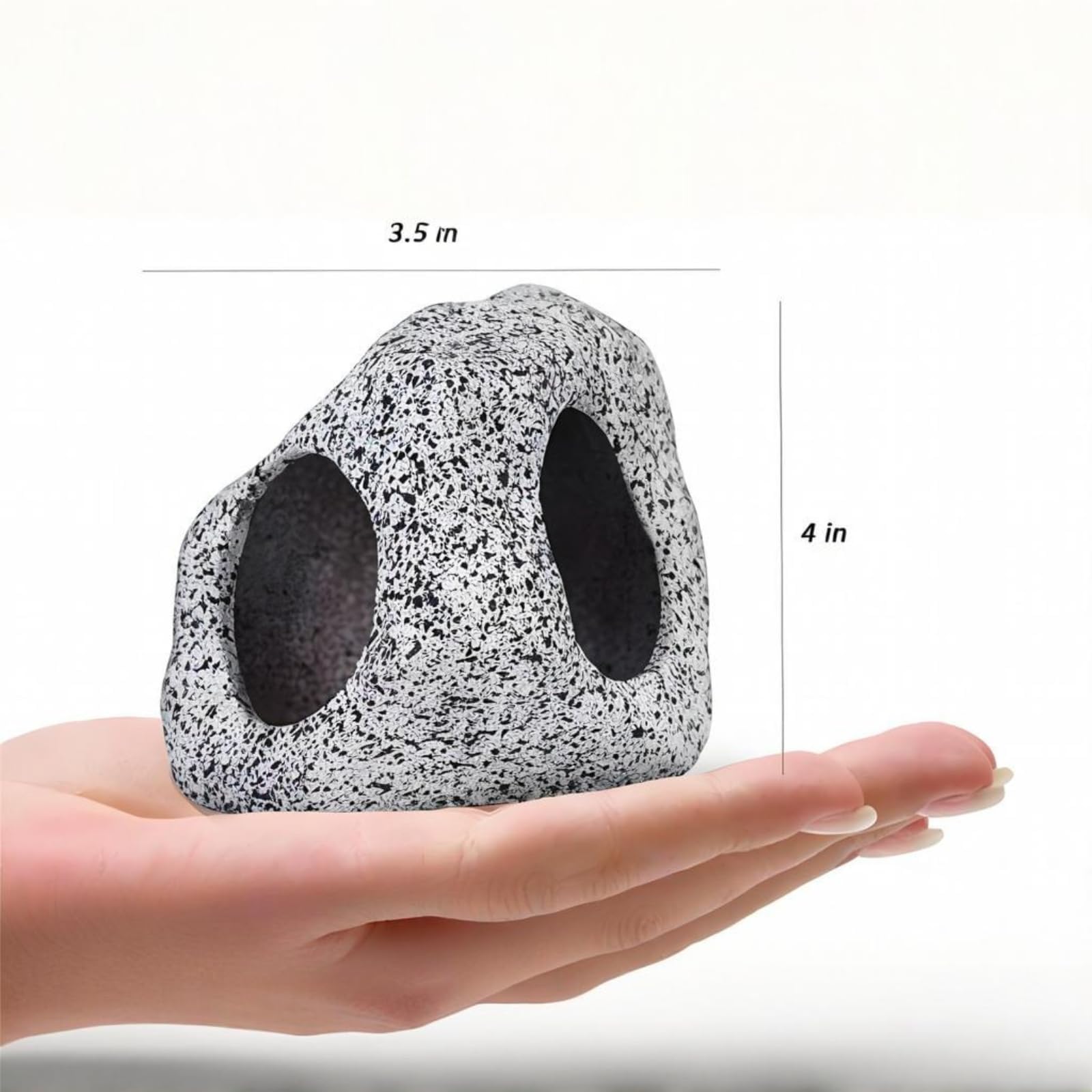 Underwater Treasures Skull