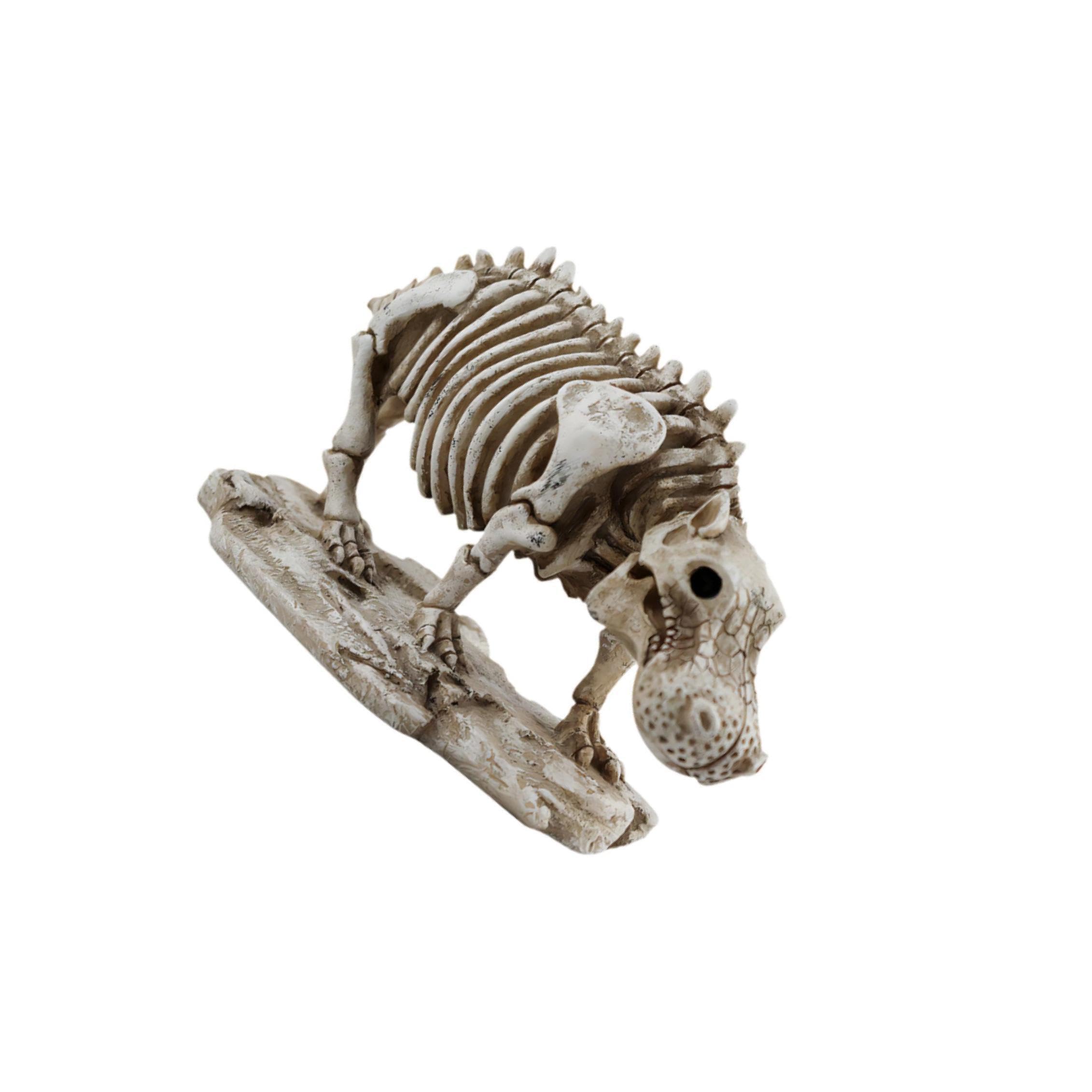 PIXZCSA Tabletop Ornament Cabinet Bedroom Decor for Creative Skeleton Hippo Figurine Collection Skeleton Statue Is Made Of Premium