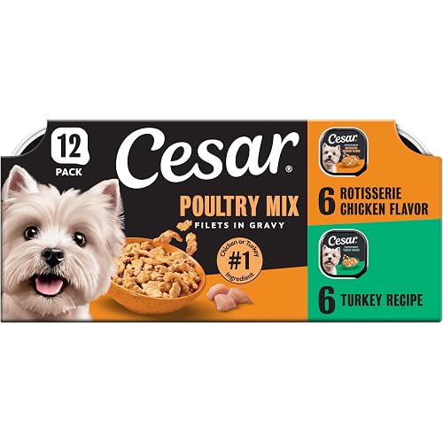 Cesar Filets in Gravy Adult Wet Dog Food Variety Pack, Poultry Lovers with Rotisserie Chicken Flavor and Turkey Recipe, 3.5 oz. Easy Peel Dog Food Tray, 12 Count (Pack of 2)