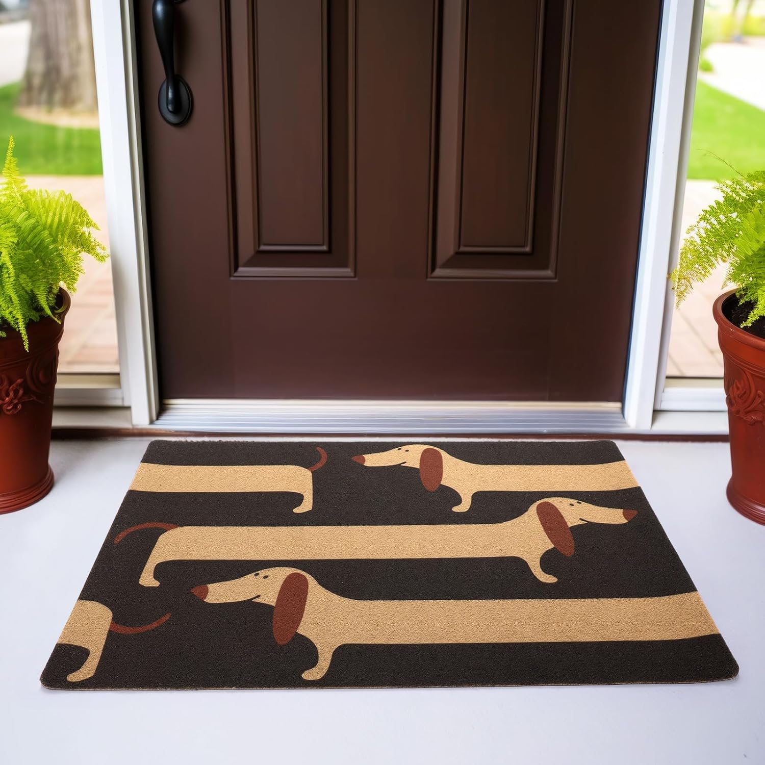 Tinideya Funny Dachshund Door Mat, 23.5 X35.4 Inch Coir Cute Long Weiner Dog Doormat with PVC Backing, Non Slip Dachshund Mat for Entrance Way, House Porch