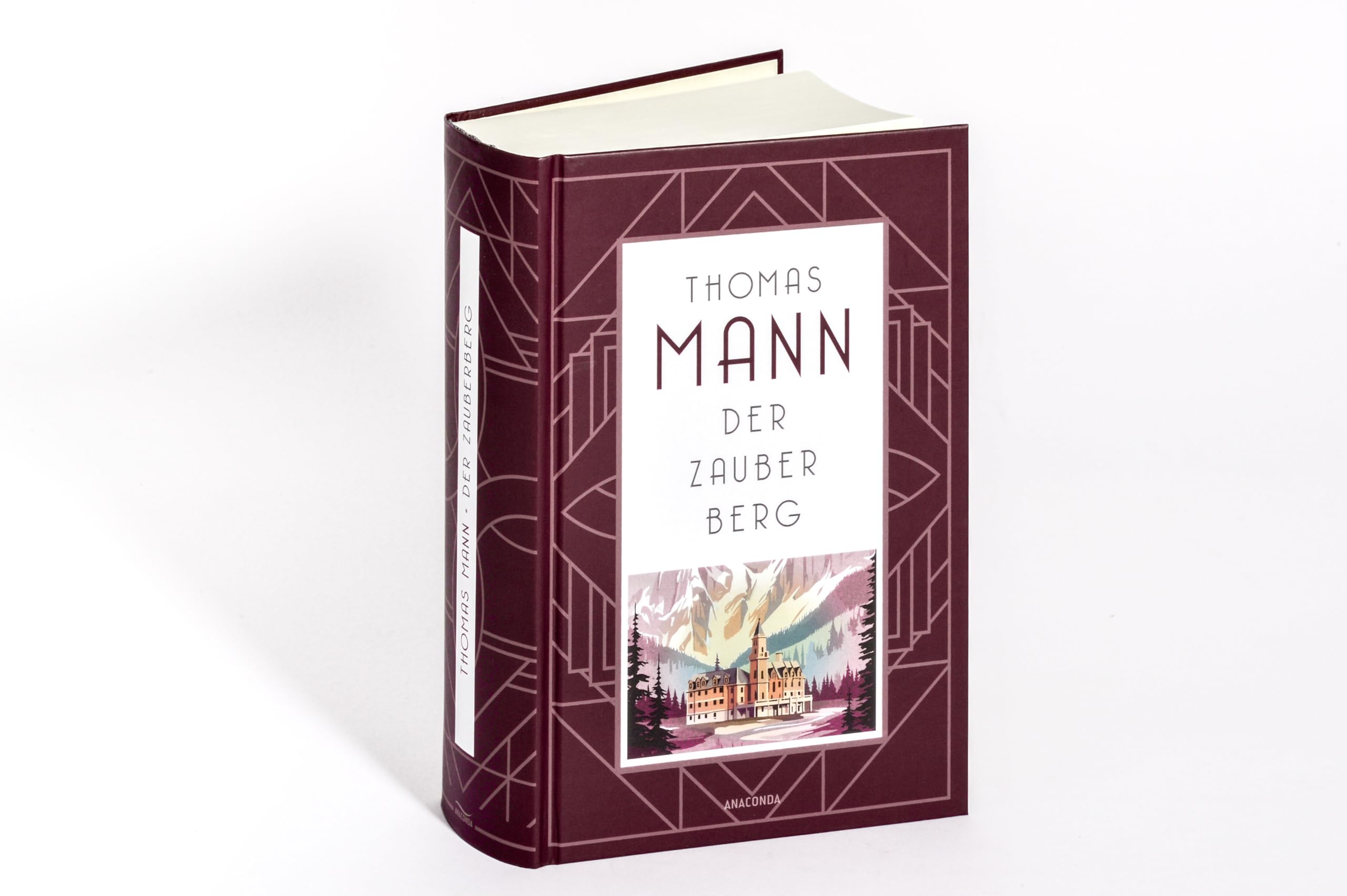 Der Zauberberg. Roman: "Thomas Manns Jahrhundertroman" arte