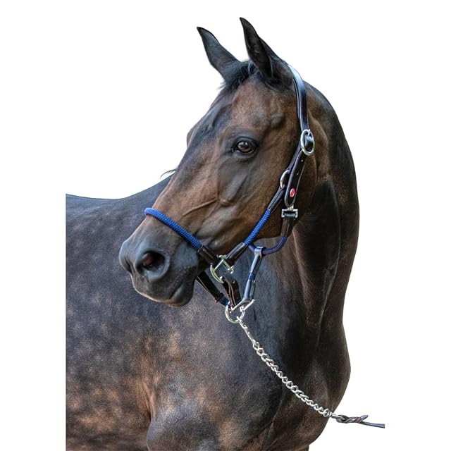 John Whitaker Whitaker Horse Pony Leather and Rope Headcollar, Unisex, Azul Marino, COB