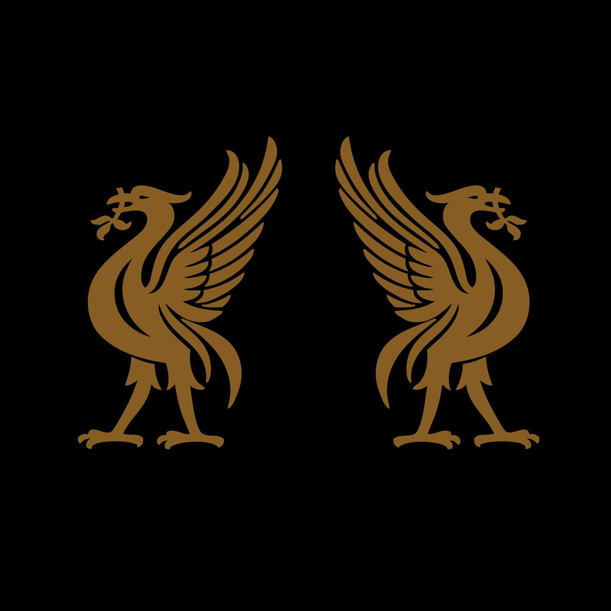 Liverbirds [Audio CD] Joey Cape & Jon Snodgrass [Tracked 24 Post]
