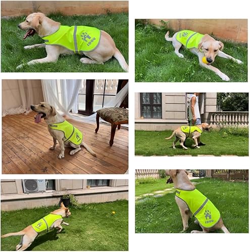 Miniatura 10 de Chaleco reflectante para perro, chaleco naranja de alta visibilidad, chaleco de seguridad para perros para caminar, trotar o entrenar, talla S