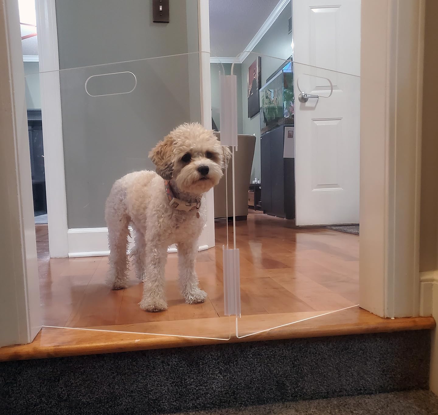 Pet Barrier (2-Panel) | Free-Standing Pet Gate | Foldable | Protect Your Indoor Living Spaces, Decorations, and Important Items from Pets | Made in The USA