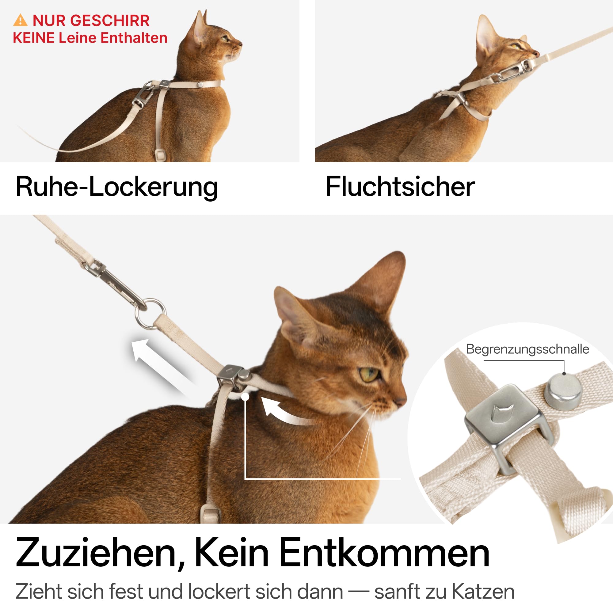 Harnais anti-éclatement pour chat - Réglable - Anti-étranglement - 8 formes - Harnais souple avec code QR - Anti-perte - Harnais sûr pour chat et chaton - Beige - Taille M