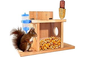 Spacious Squirrel Mansion: Ultimate Warmth for Winter Thrills