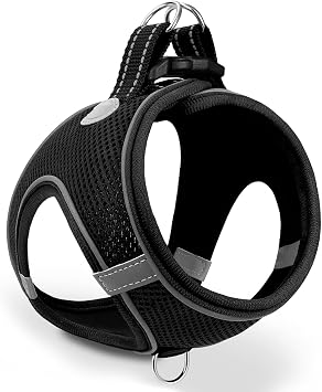 Dynmeow Harness for Animals, Soft Adjustable Vest for Small Dogs Cats Rabbits, Easy Control Breathable Pet Vest with Leash for Walking Training