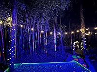 Review Image by Hayden Reaves Hayden Reaves