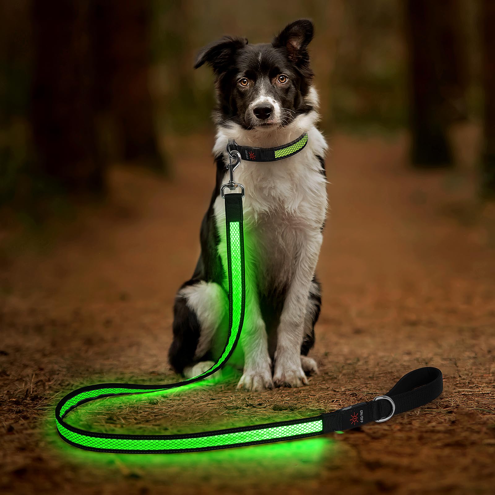 Candofly Correa LED para perro de 4 pies, recargable por USB, 3 modos de iluminación, brilla en la oscuridad, correas reflectantes de nailon para mascotas con luces para caminar por la noche (verde)