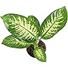 Product Photo 2