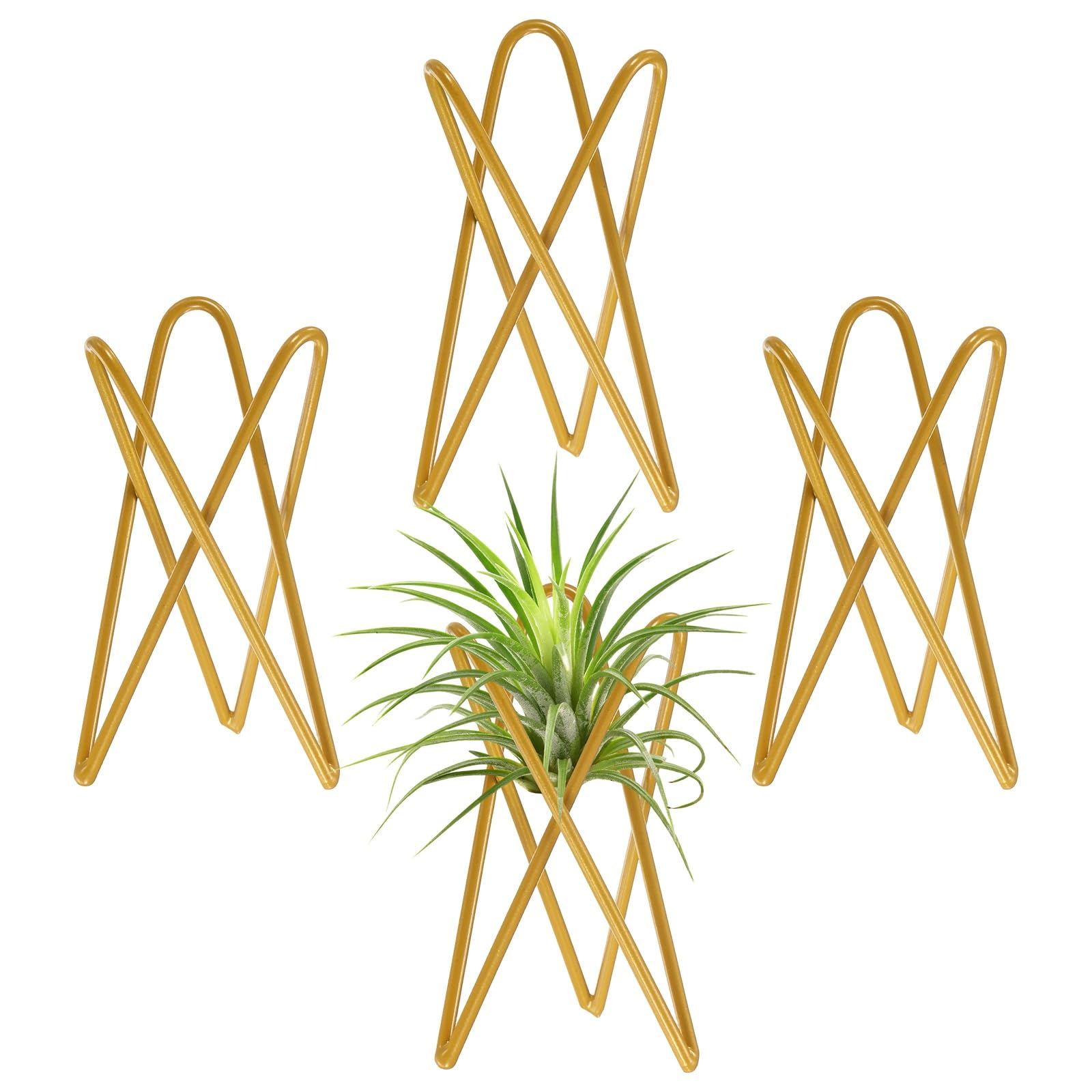 Support pour plantes aériennes lot de 4 structures géométriques dorées M METERXITY
