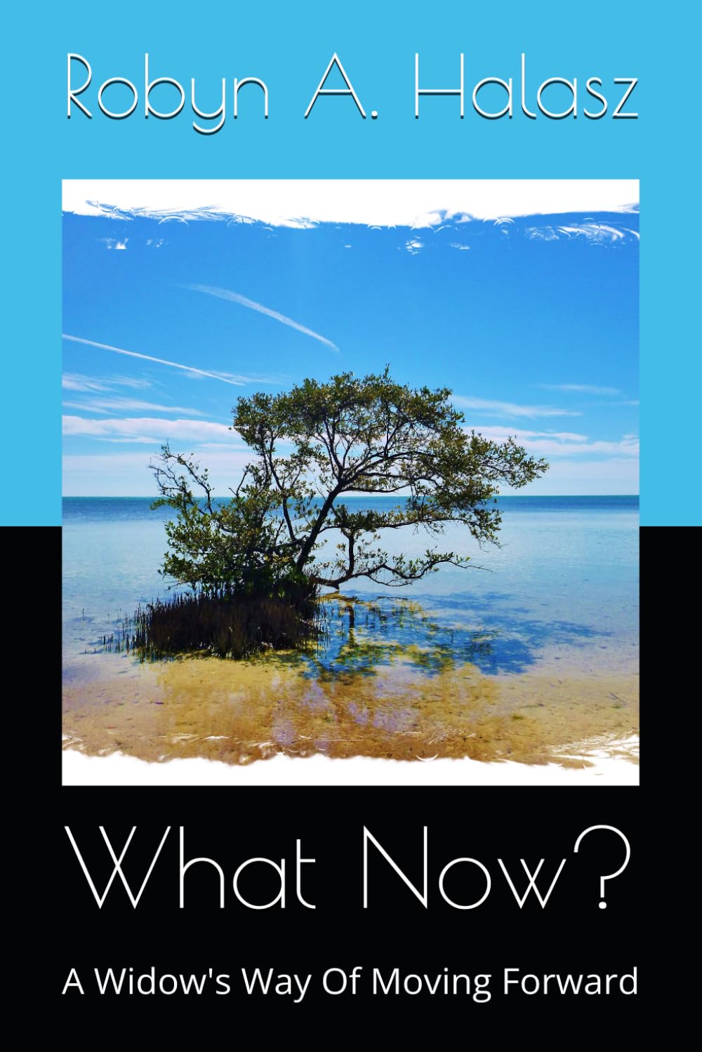 What Now?: A Widow's Way Of Moving Forward