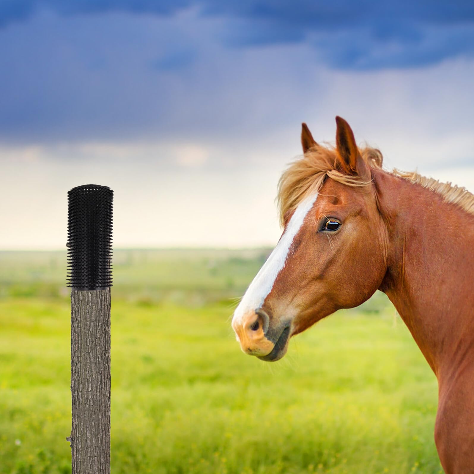 POPETPOP 2 Pezzi Tappetino Tiragraffi per Cavalli e Bovini in Gomma Morbida Cuscinetto Antiprurito Equino Spazzola Massaggiante Accessorio per Toelettatura Bestiame da Fattoria