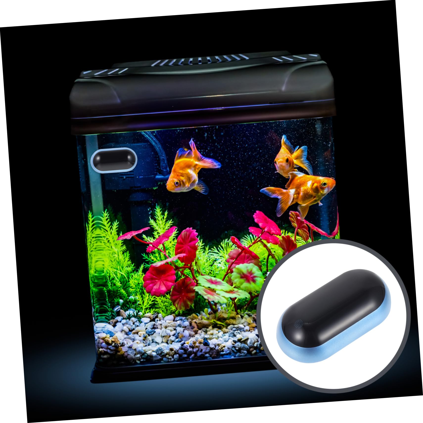 Kisangel 3stücke Aquarium Thermometer Mit Hochpräzisem Sensor Und -display Für Aquarien Und Terrarien Installieren Langlebig Und Kompakt Zur Genauen Temperaturmessung Von Wasser
