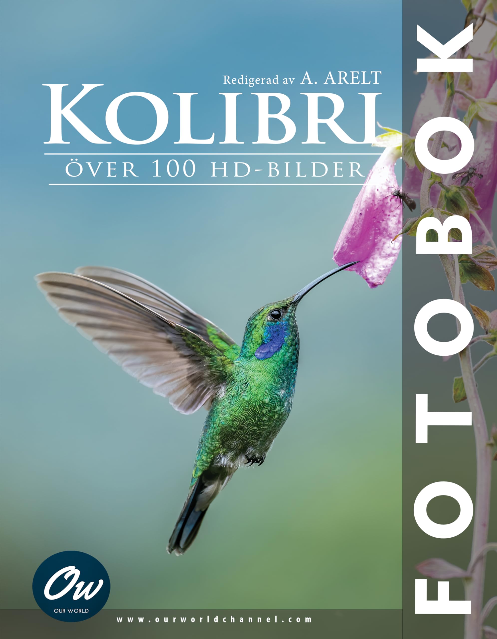 Kolibri Fotoboek Édition Suédoise Reliure Prestige Couverture Rigide