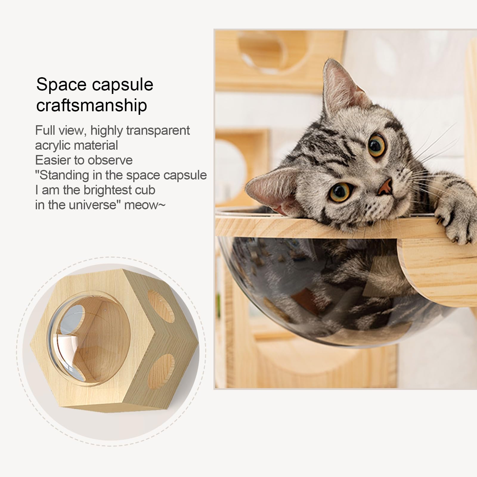 Mensole per Gatti da Parete, Scaffale Solido per Gatti, Scaffali e Trespoli per Gattini, Tiragraffi Gatto, per Dormire, Giocare, Arrampicarsi e Rilassarsi sul Muro(5pcsA)