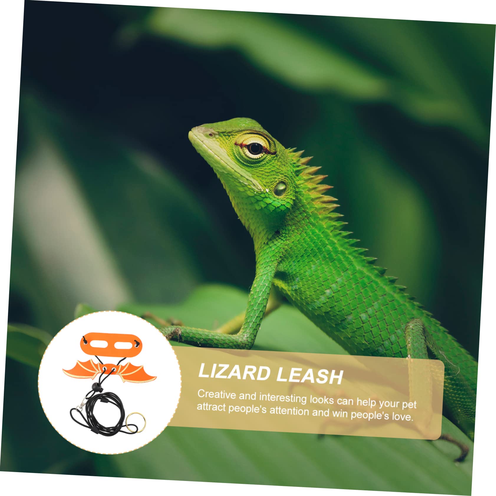 CIYODO 5pcs Lizard Harness Leash Strap Lizard Carrier for Bearded Dragon Reptile Tortoise Harness Adjustable Reptile with Wings