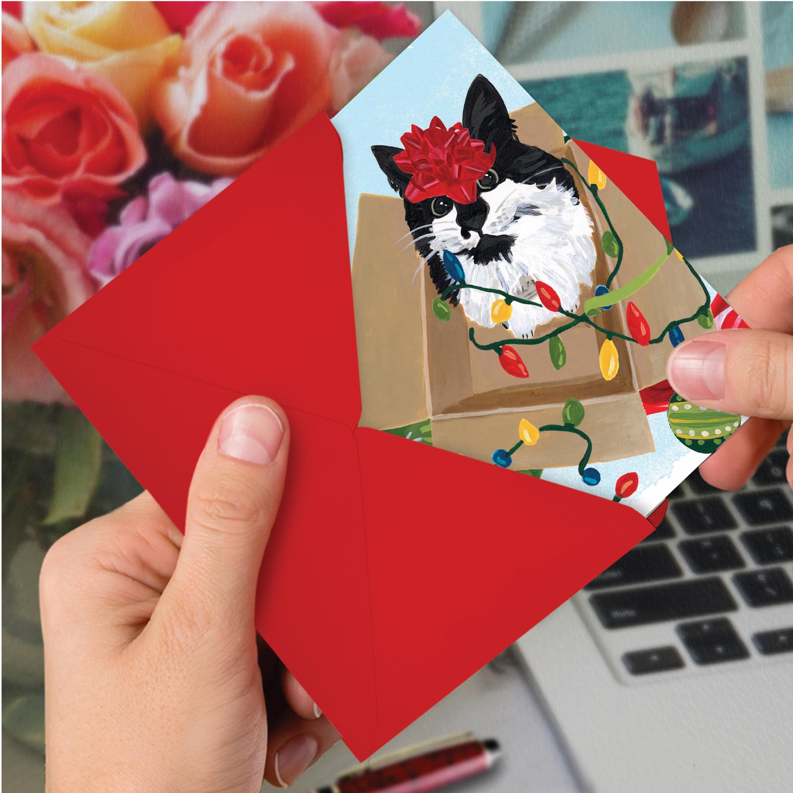 The Best Card Company Purr-fect Holiday Red Bow - 12 cartes de vœux de Noël avec enveloppes (11,6 x 17,5 cm) - C9555BXSG-B12x1