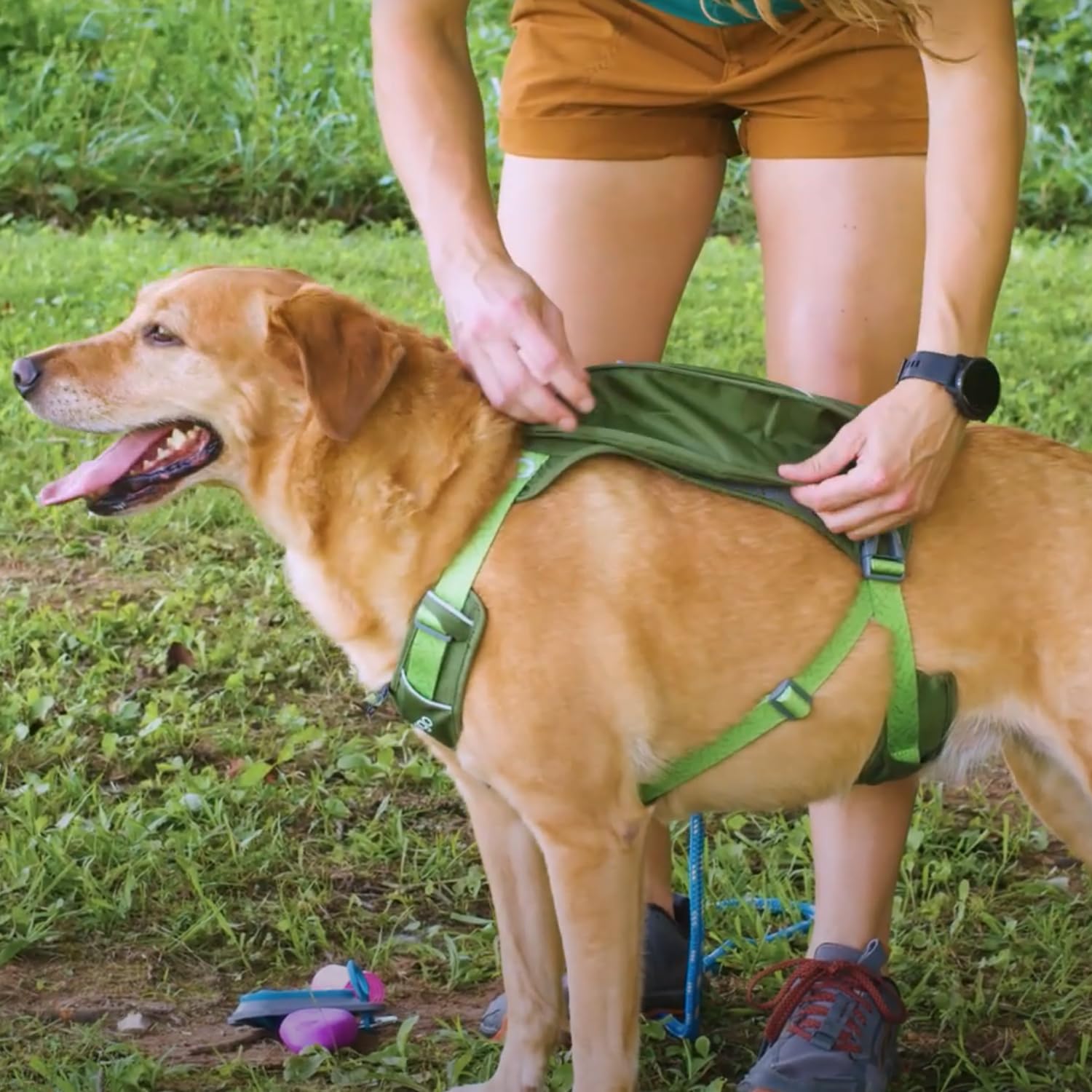 Kurgo Harnais Cascade pour Chien - Sac à Dos de Randonnée et Camping pour Animal de Compagnie, Taille M, Vert