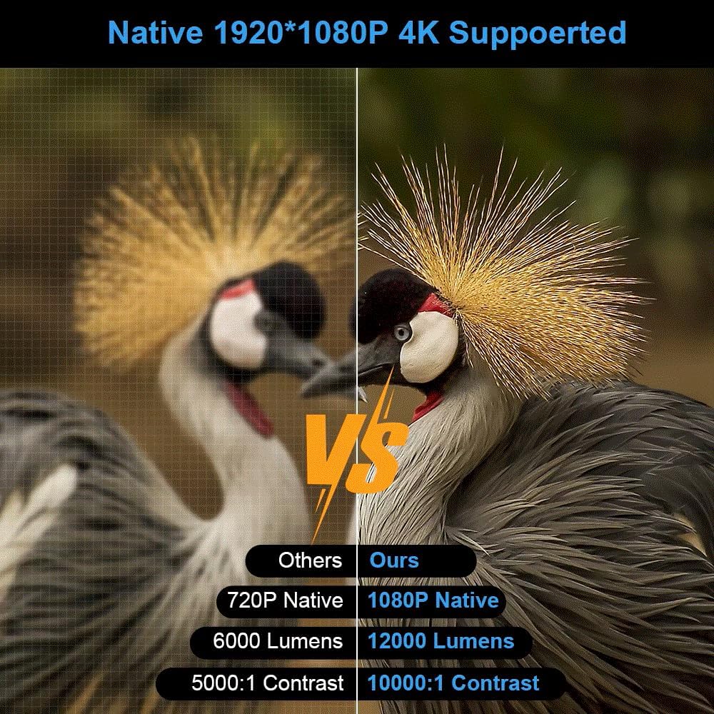 Native 1080P vs 720P projector comparison