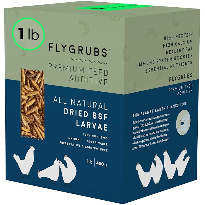 Buy FLYGRUBS Superior to Dried Mealworms for Chickens (1lb) 85X More