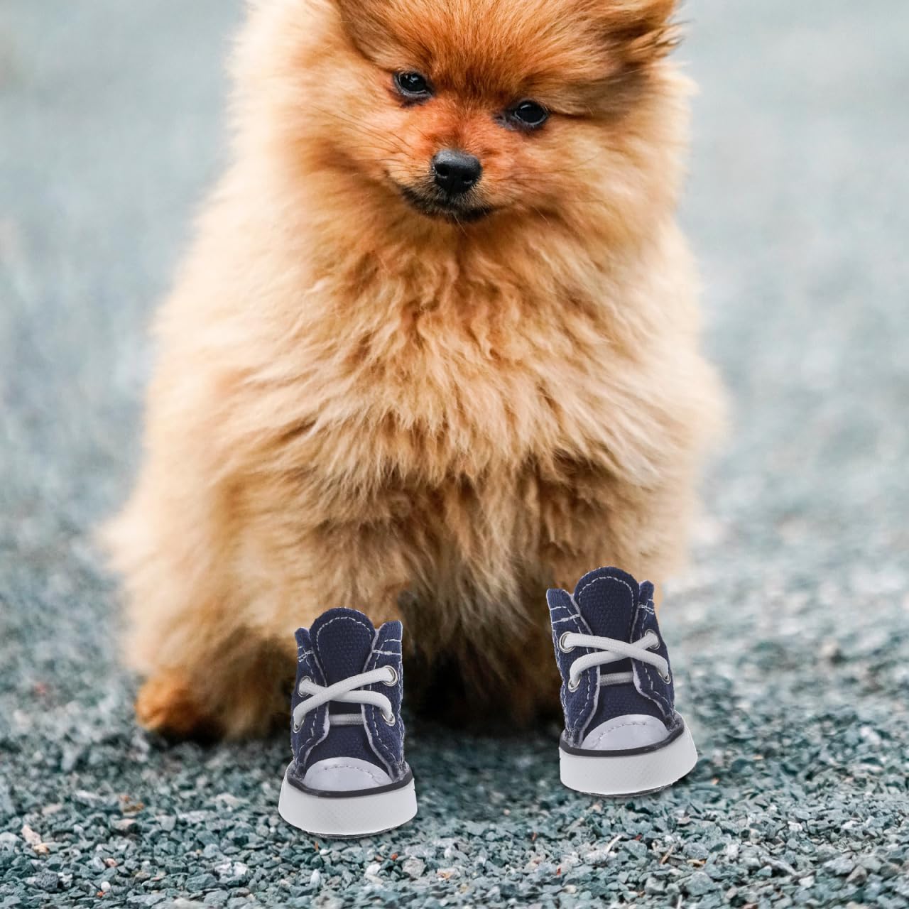 SUPVOX Lot de 4 chaussures décontractées à lacets pour chien de petite taille XS