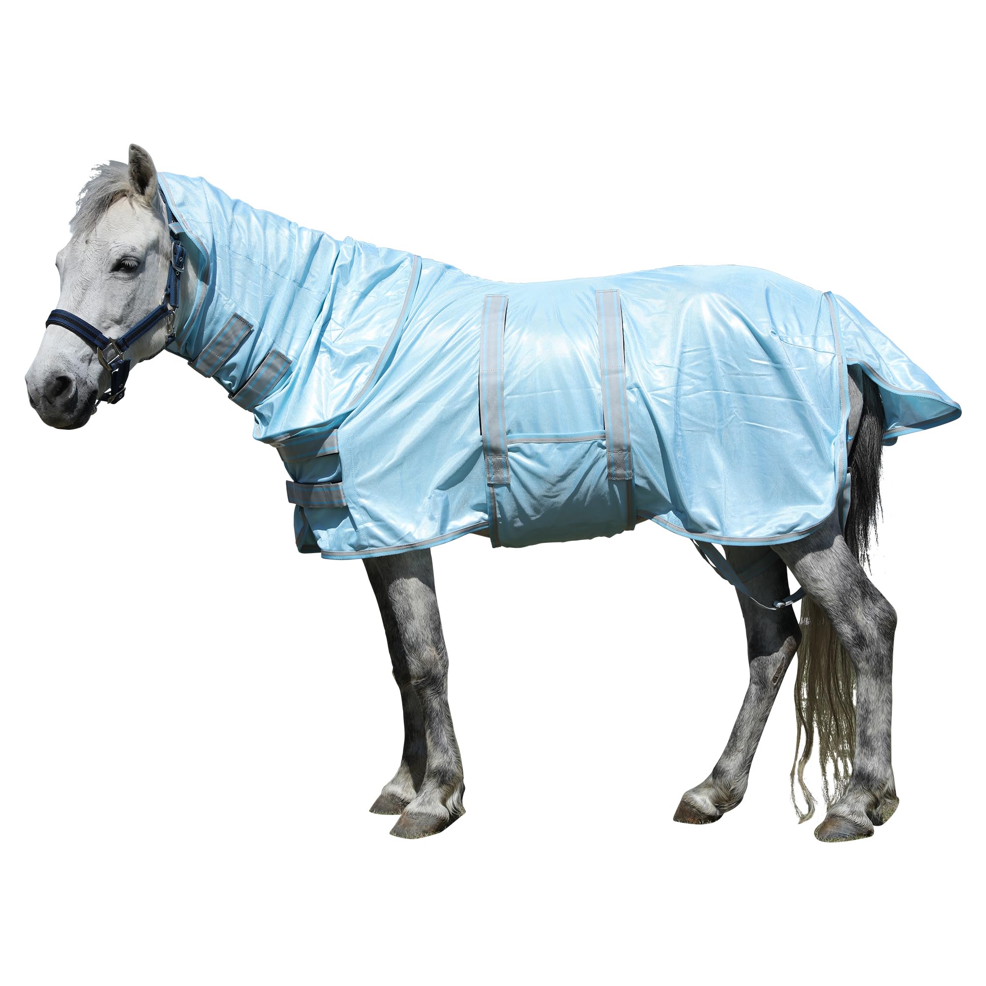 Anti-mouches avec cou pour poney : fin des piqûres de moustiques
