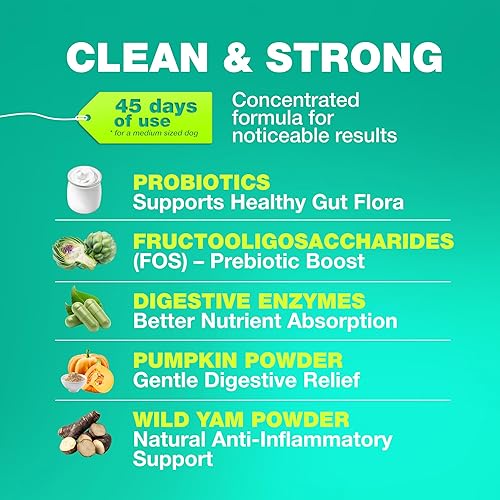 Vista 2 de Probióticos para la salud intestinal de los perros, digestión, inmunidad, equilibrio de levadura, piel con picazón, apoyo para alergias