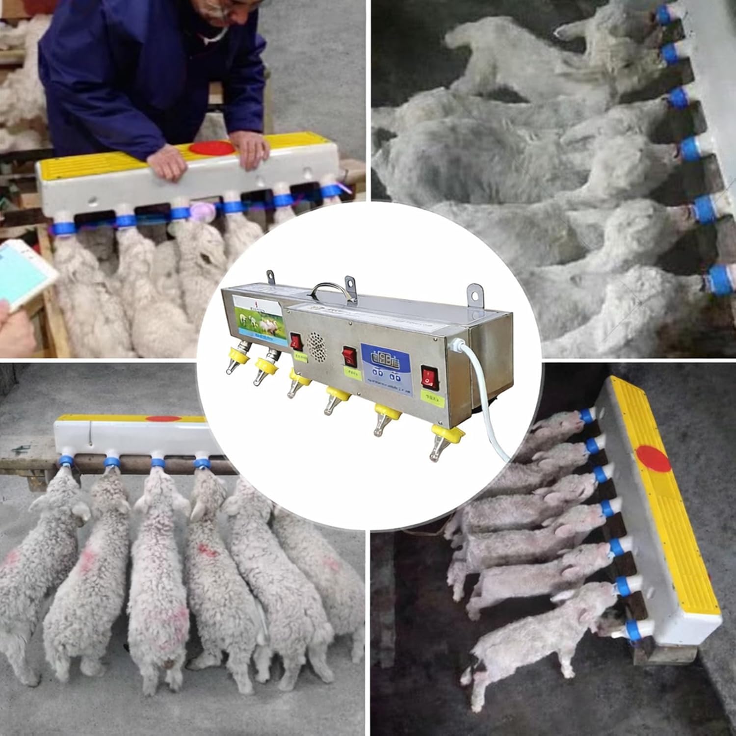 Automatic Constant Temperature Milk Feeder, Stainless Steel 6 Nipple Piglet & Lamb Feeding Station, Wall Mounted Animal Milk Drinker with Sound Simulation for Farms and Ranches