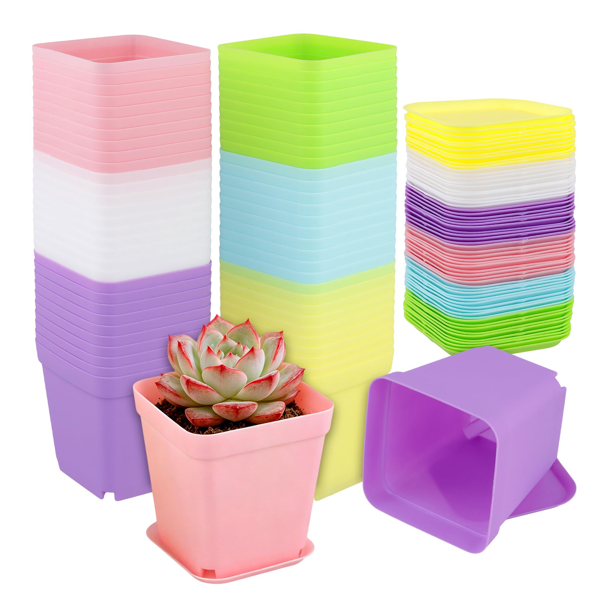 MAHIONG 60PCS Small Flower Pots, Square Plant Pots with Saucer, Colourful Plastic Plant Pots for Succulents Seedlings