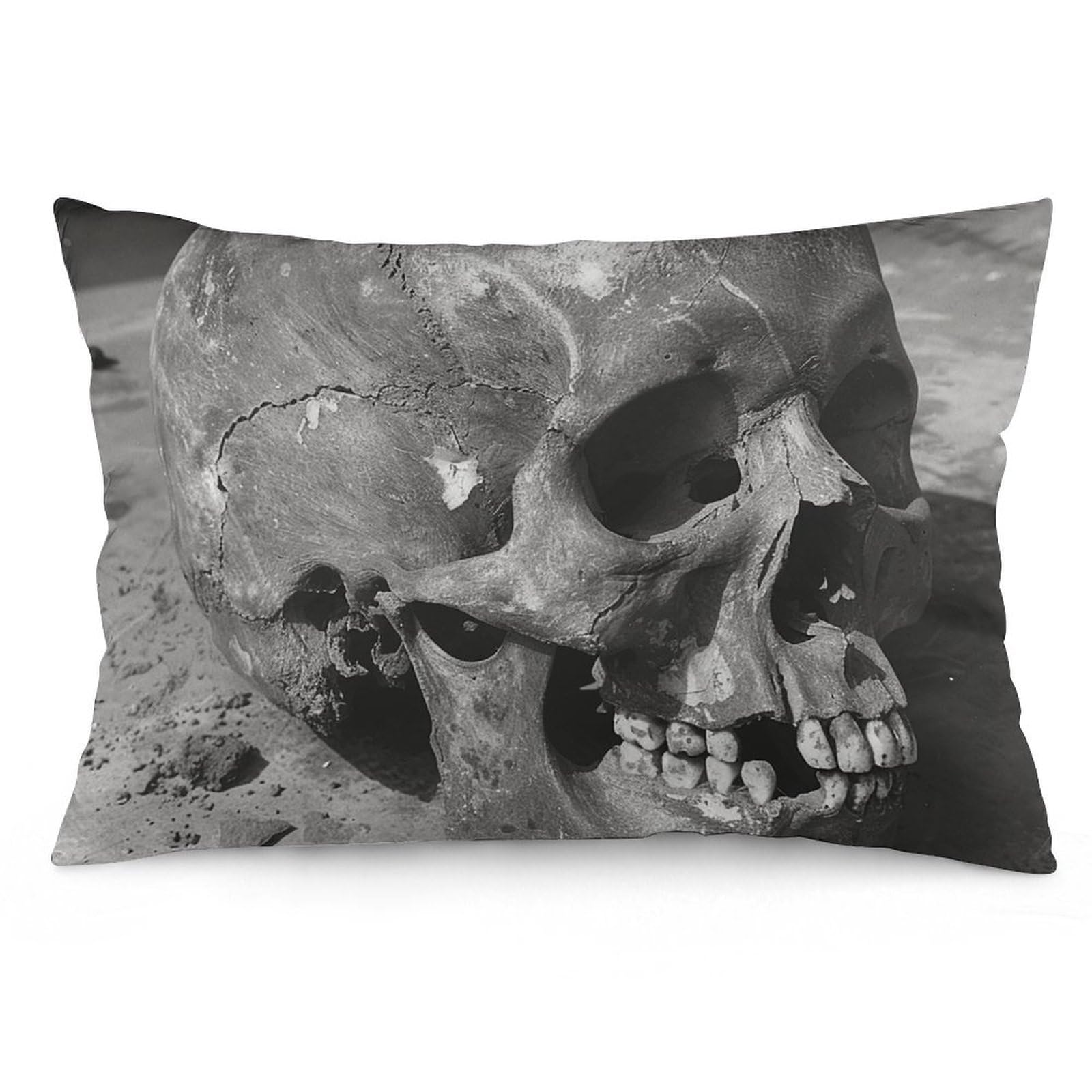NTVOWPZO 2 Pack Decoration Throw Pillow Covers 16 "x24 Pillowcases Covers Ancient Human Skull Pillowcases Modern Farmhouse Home Decor Sofa Cushions Covers for Couch Bed Living Room