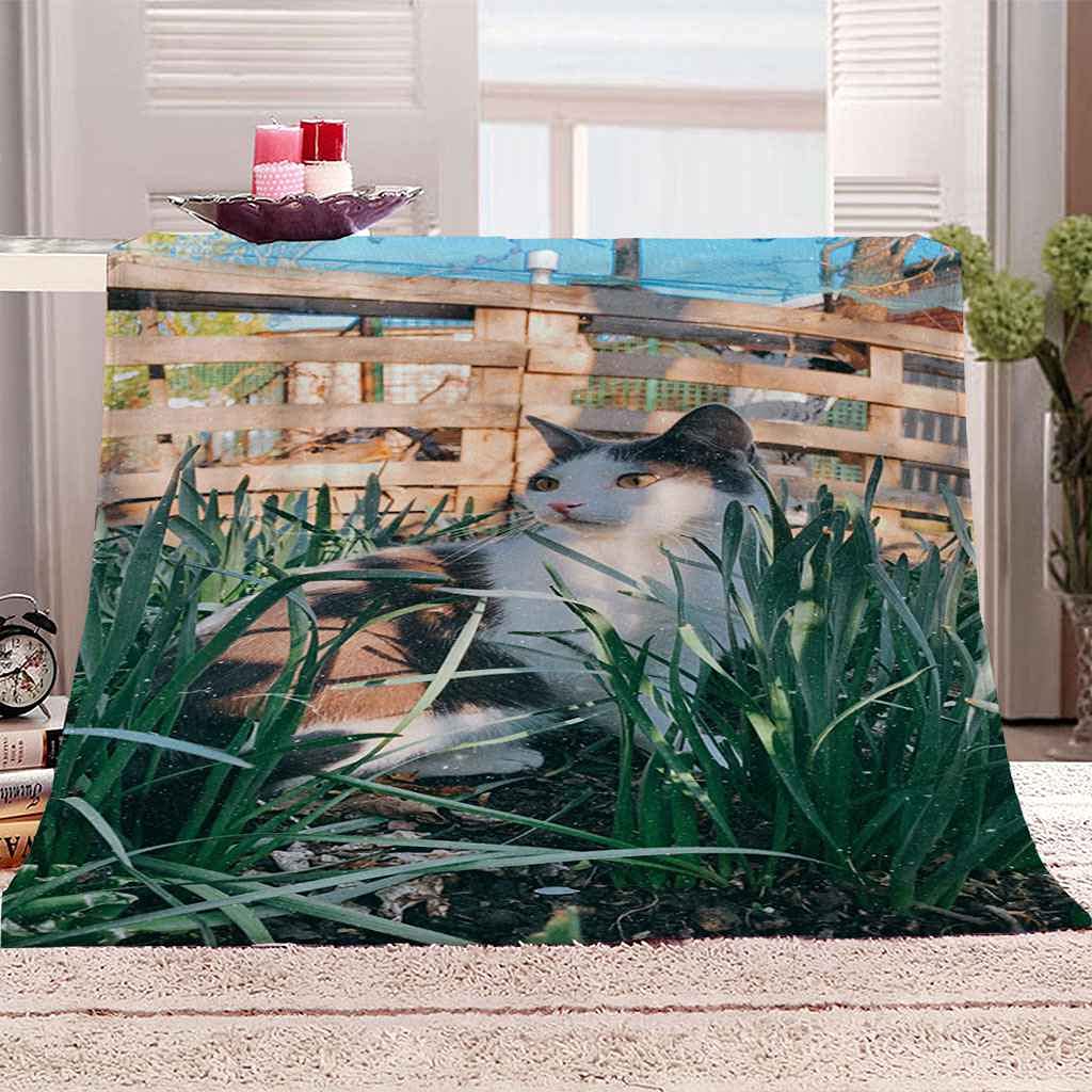 Plaid chaton en flanelle 150x200cm, l'idée cadeau idéale