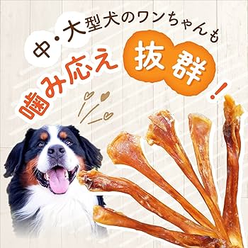 【希少】大盛り限定　鹿のたてがみ　鬼筋ジャーキー　アキレスより硬いです エアドライ 鹿アキレスジャーキー 15g - ROCCA