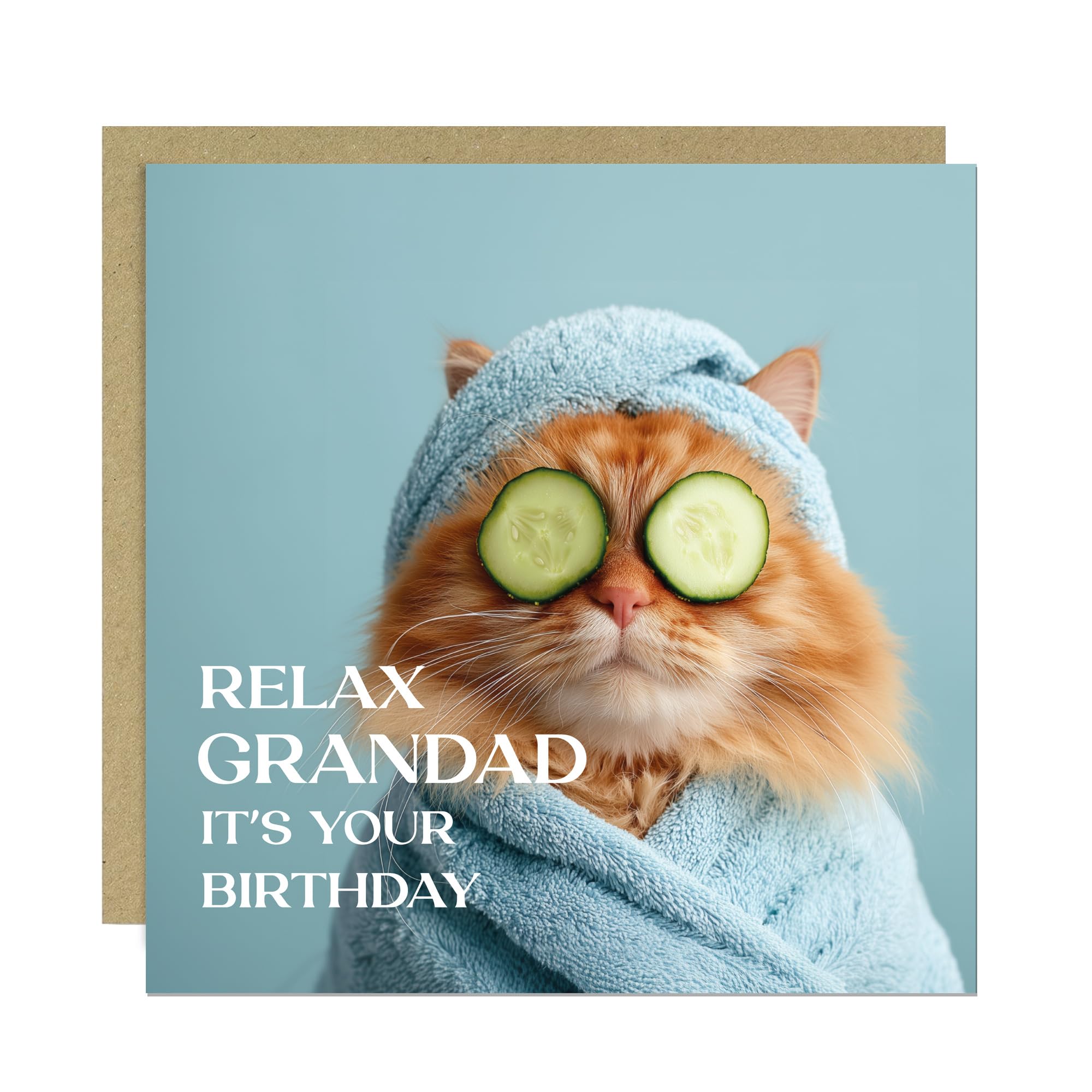 RED OCEAN Grandad Card For Birthday Relax Grandad Its Your Birthday Card With Kraft Envelope Card From Granddaughter Grandson Kids