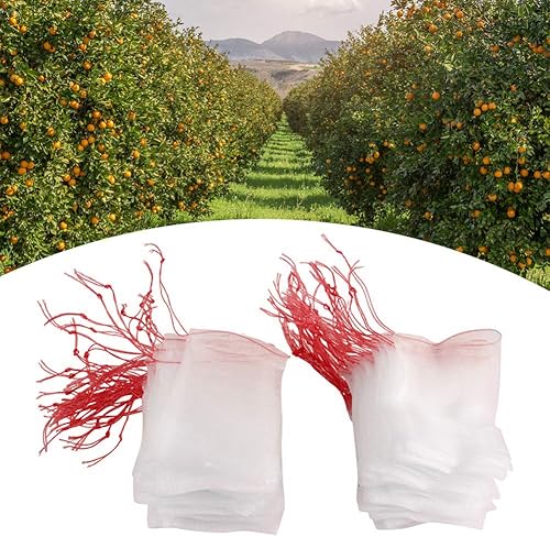Miniatura 4 de Fdit 100pcs Plantas Frutas Bolsas Cordón Malla Bolsa Contra Aves Jardinería Herramientas Fruta Malla Bolsa