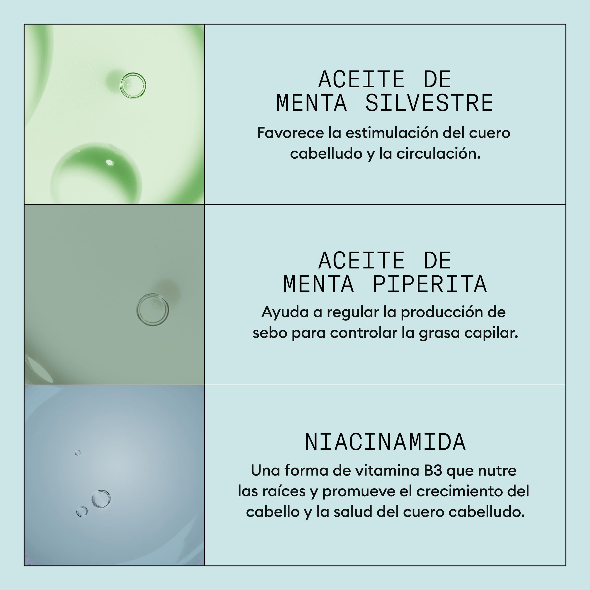 Nioxin Scalp Recovery - Champú/Acondicionador/Tratamiento - Cuidado del Cuero Cabelludo Seco y con Picor