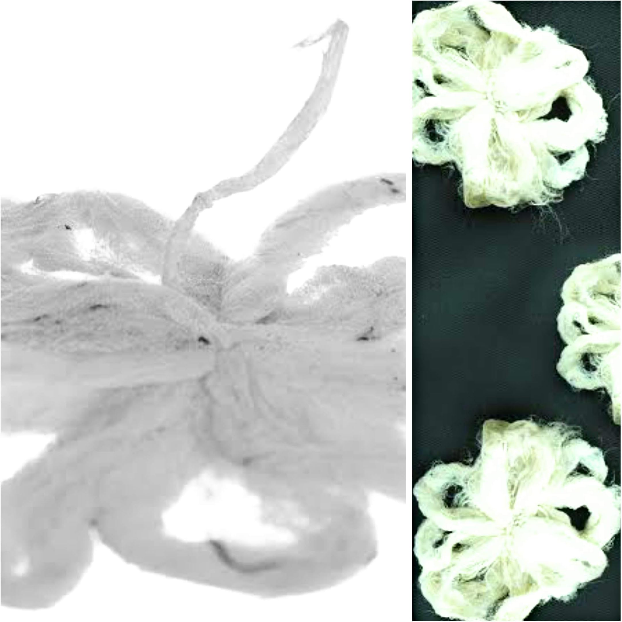 IndoHerbals Lotus Stem Wicks (White)