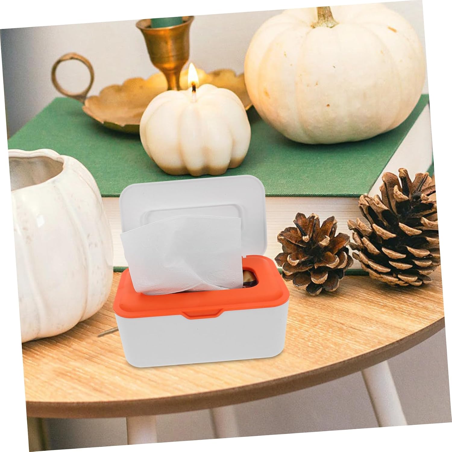 DECHOUS 2pcs Sealed Wet Tissue Tissue Dispenser Wipes Storage Box for Home Refillable Wipes Holder Compact Portable