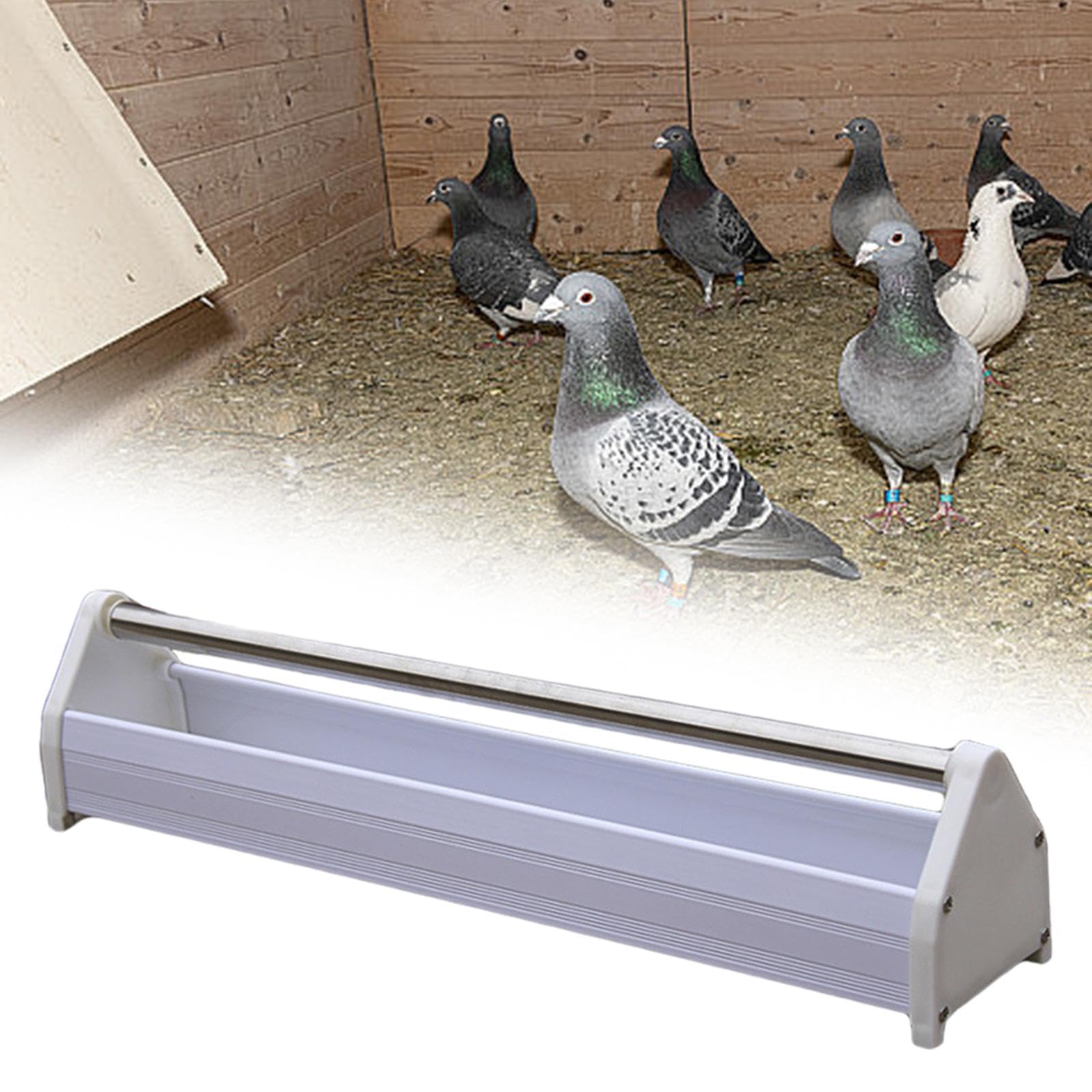 B Baosity Comedero para Palomas, Comedero Eficiente para Pollos, Cacatúas Y Loros de Exterior.