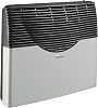 Direct Vent Propane Wall thermostatic Heater 20,000 Btu - Plastic, Indoor