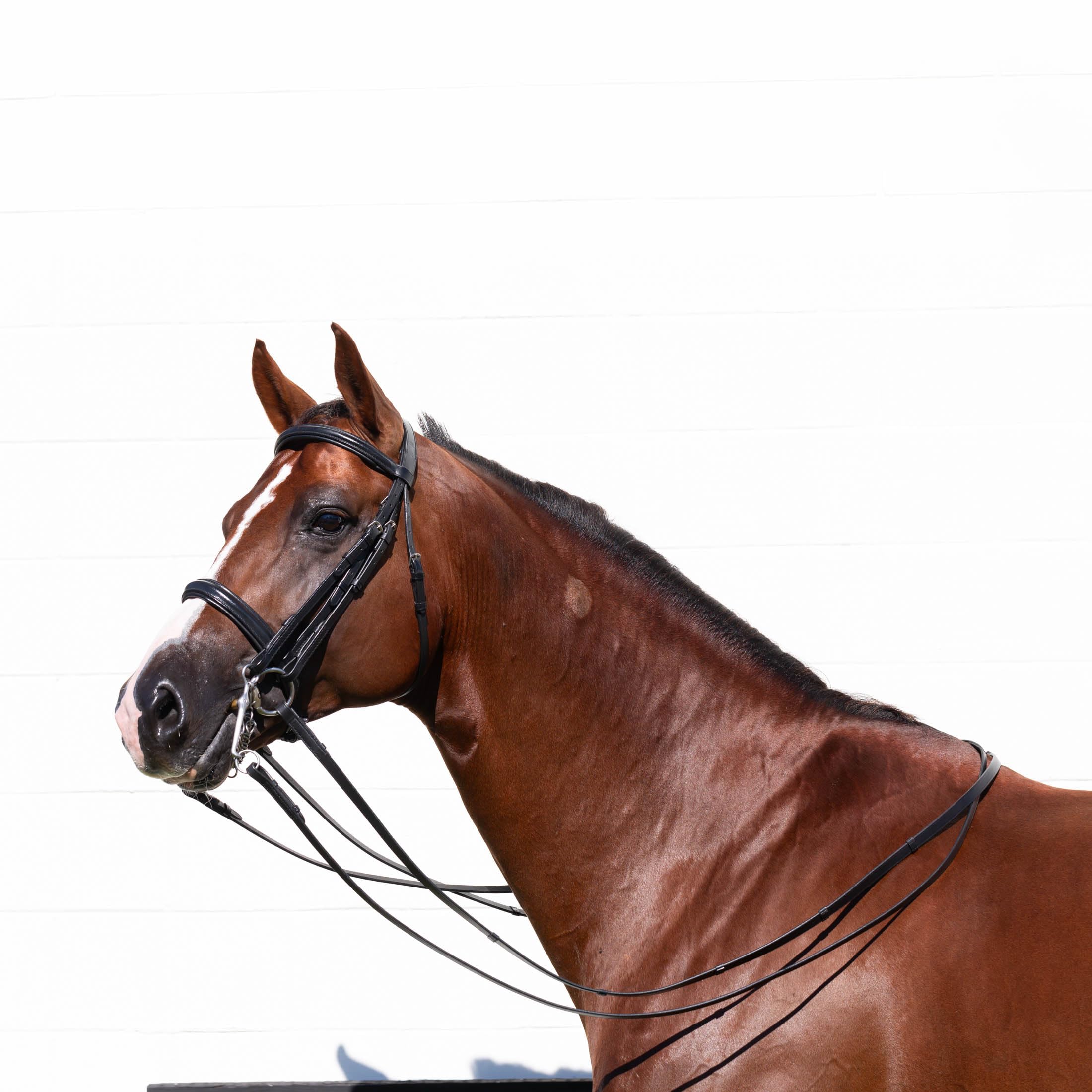 Equinavia Saga Double Bridle w/Reins - Black - Cob