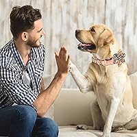 Vista 6 de Collares para perros pequeños, medianos y grandes, collar de perro hembra con lazo de flor, collar de cachorro, collares ajustables para mascotas
