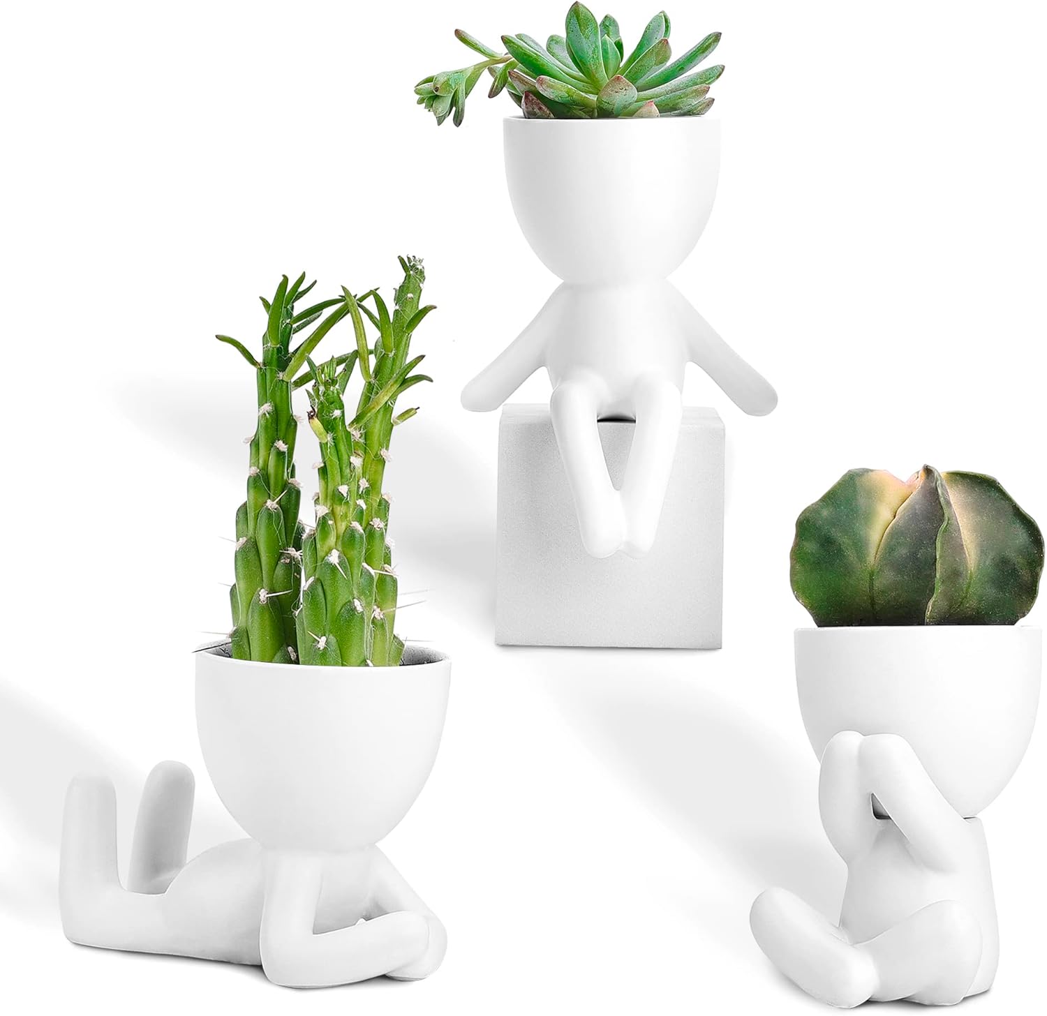 Port&Petal Small Succulent Pots with Drainage (Set of 3) - Ceramic Planters for Live Plants, Air Plants or Fake Plants Decor - Cute Planters for Indoor Decor - Small Pots for Home Office Décor - White