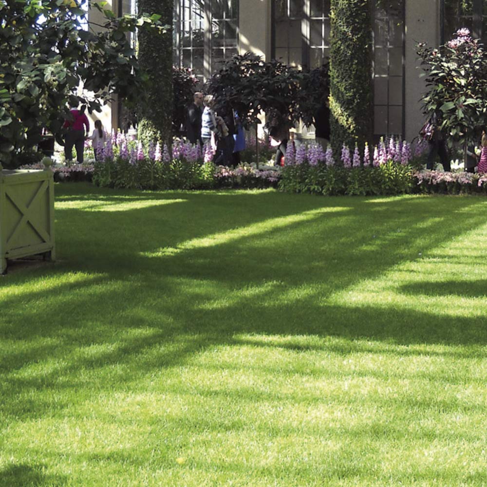 VERDELOOK Erba artificiale sintetica 2x3m, spessore 35mm