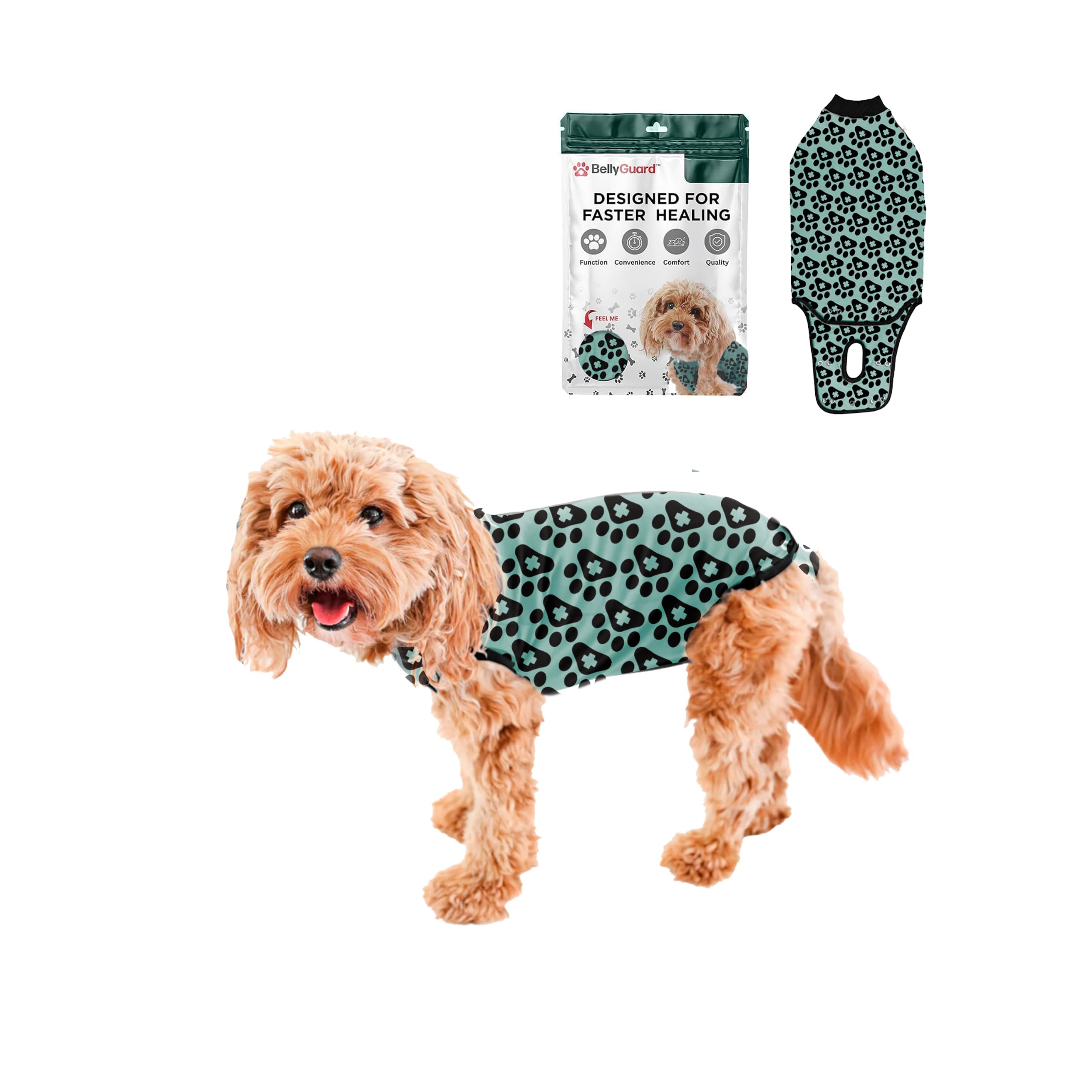 BellyGuard Dog Surgery Recovery Suit, Male Female After Spay Neuter Onesie