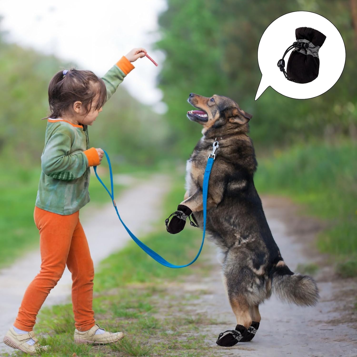 715ecKiCe6L. AC SL1500