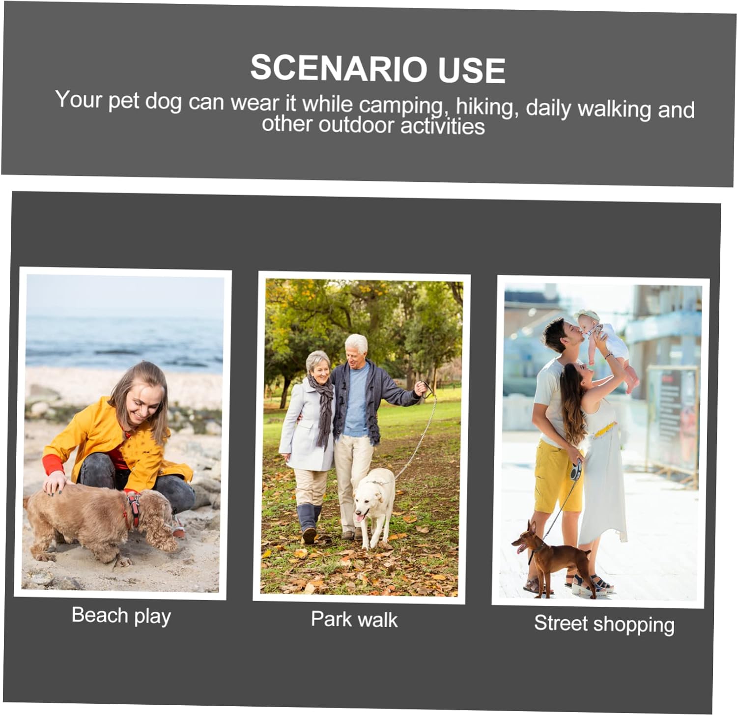 2pcs Indoor Dog Squeaky Toy Molar Chew Plaything for Pet Training Lake Interactive Dog Toy for Healthy Chewing and Fun Indoor Play