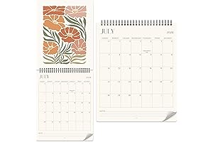 Aesthetic 2024-2025 Wall Calendar