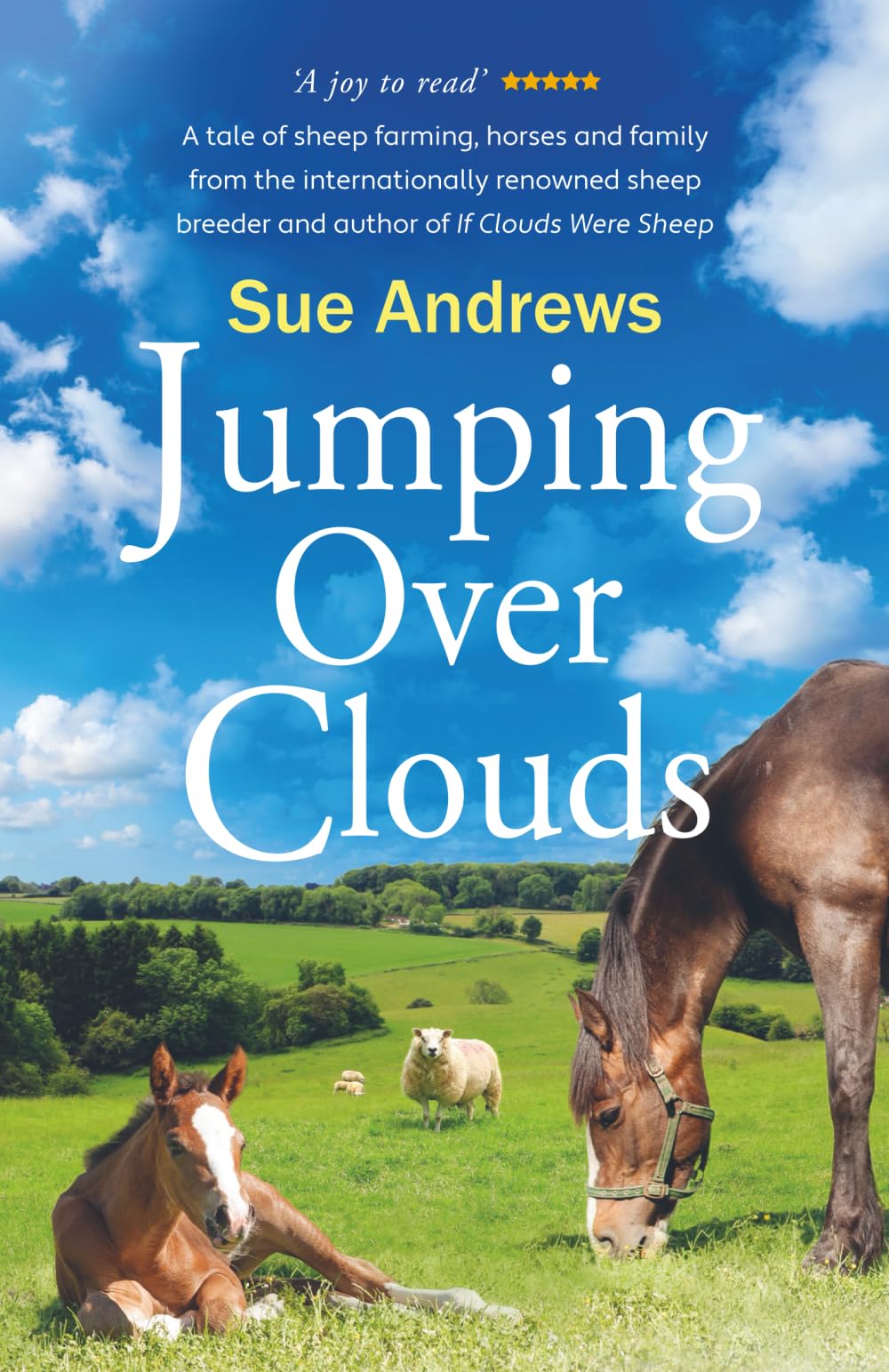 Jumping Over Clouds by Sue Andrews - 9781838229818